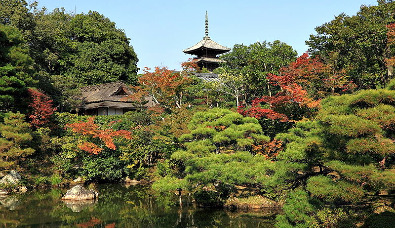 Ninnaji Temple, Kyōto (photo by トトト)