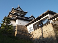 Obama Castle