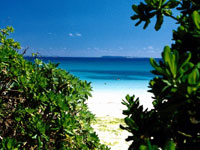 Okinawan beach