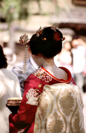 Maiko in Pontochō, Kyōto