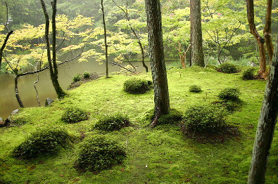 Moss Garden, Saihō-ji Temple, Kyoto (photo by Ivanoff)