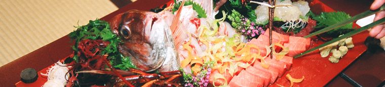 Sashimi