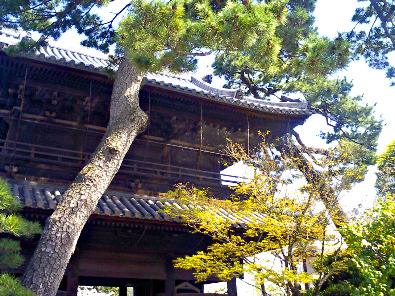 Main Hall, Sengaku-ji Temple, Takanawa