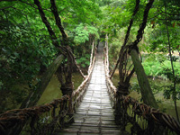 Vine suspension bridge, Shikoku Village, Takamatsu