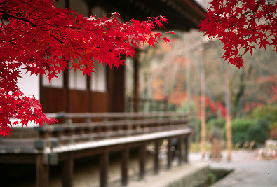 Tenryū-ji Temple, Kyōto