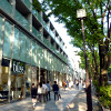 Omotesando, Tokyo