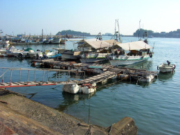 Harbour, Tomomoura