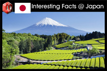 Interesting facts about Japan