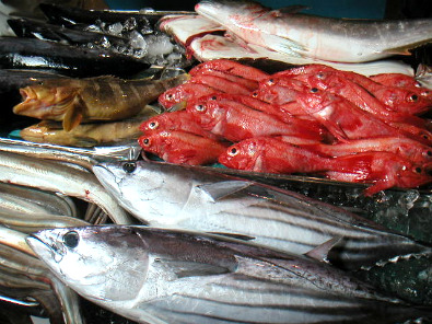 Tsukiji Fish Market