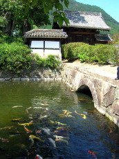 Carps in a moat, Yamaguchi