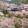 Mount Yoshino-yama