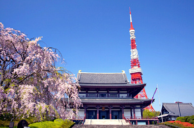 Tokyo Tower & Zōjō-ji Temple