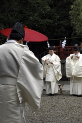 Welcoming of summer ceremony, Tomioka Hachiman-gu Shrine, Tokyo