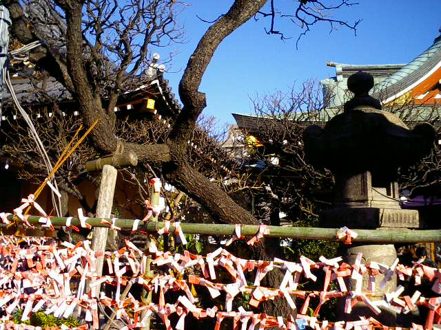 Kameido Tenjin Shrine on New Year's Day